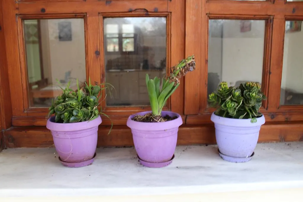Felia Villa Stavrós Ferienhaus